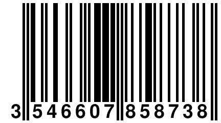 3 546607 858738