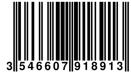 3 546607 918913