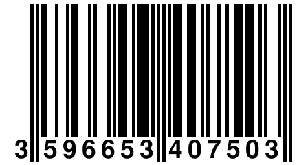 3 596653 407503