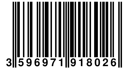 3 596971 918026