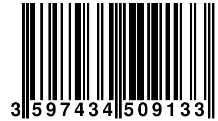 3 597434 509133