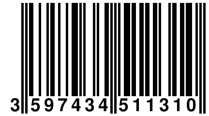 3 597434 511310