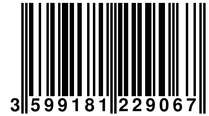 3 599181 229067