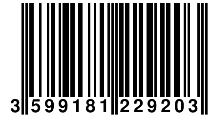 3 599181 229203