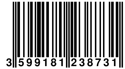 3 599181 238731