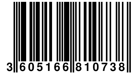 3 605166 810738