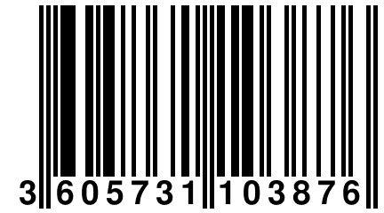 3 605731 103876