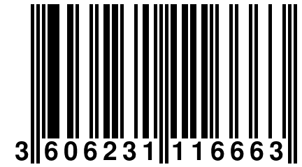 3 606231 116663