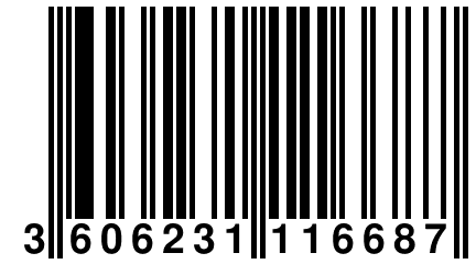 3 606231 116687