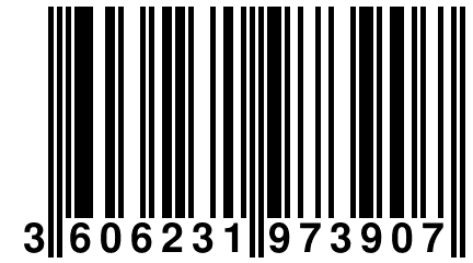 3 606231 973907