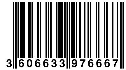 3 606633 976667