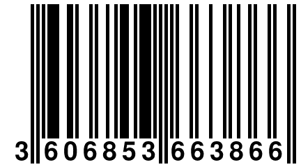 3 606853 663866