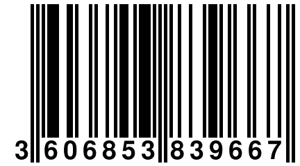 3 606853 839667