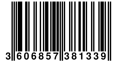 3 606857 381339