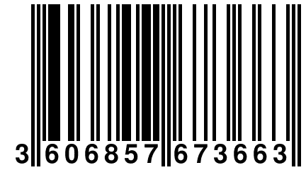 3 606857 673663