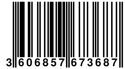 3 606857 673687