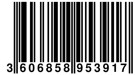 3 606858 953917