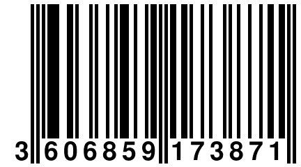 3 606859 173871