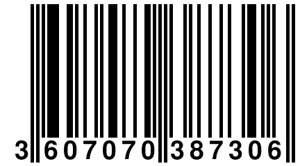 3 607070 387306