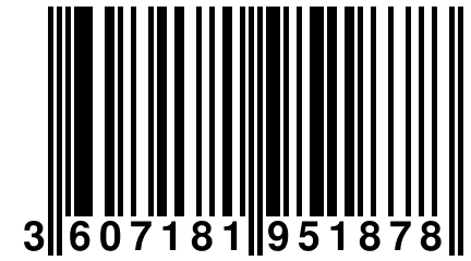 3 607181 951878