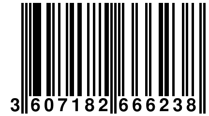 3 607182 666238