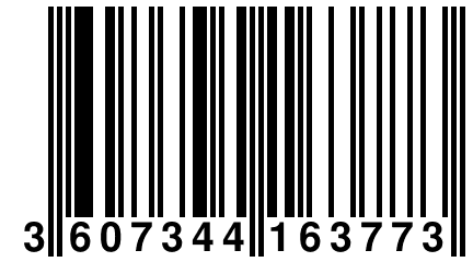 3 607344 163773