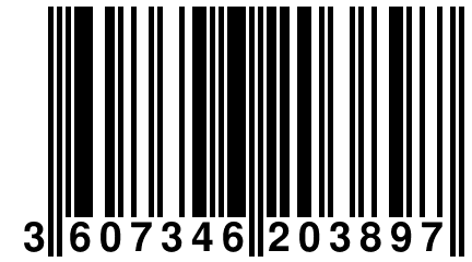 3 607346 203897