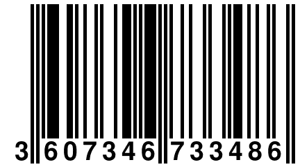 3 607346 733486