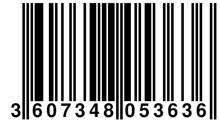 3 607348 053636