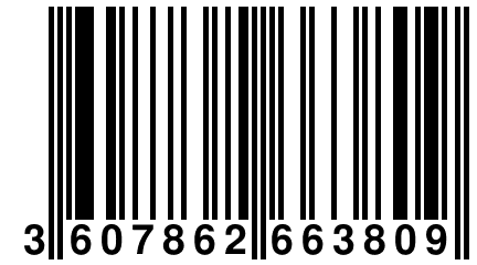 3 607862 663809