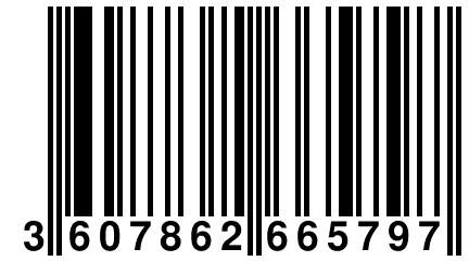 3 607862 665797