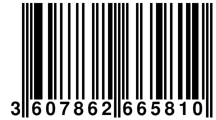 3 607862 665810