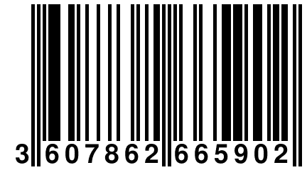 3 607862 665902