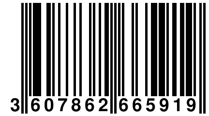 3 607862 665919