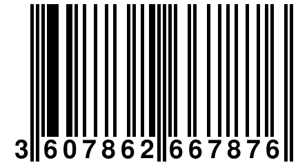 3 607862 667876