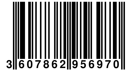 3 607862 956970