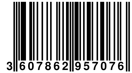 3 607862 957076