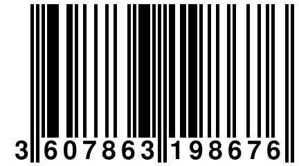 3 607863 198676