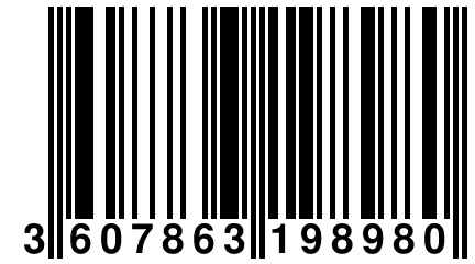 3 607863 198980