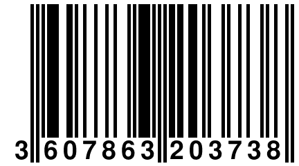 3 607863 203738