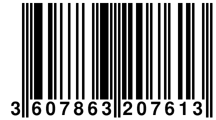 3 607863 207613