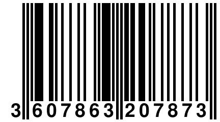 3 607863 207873