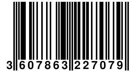 3 607863 227079