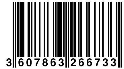 3 607863 266733