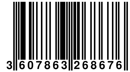 3 607863 268676