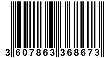 3 607863 368673