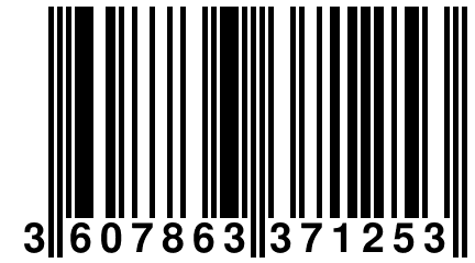 3 607863 371253