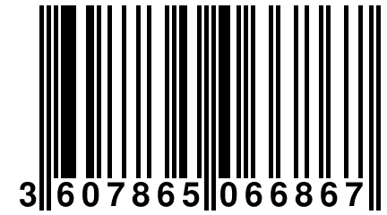 3 607865 066867