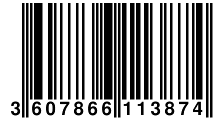 3 607866 113874