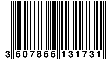 3 607866 131731